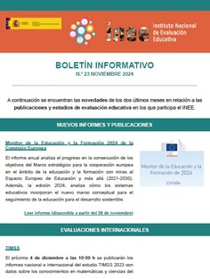 Boletín informativo INEE Nº. 23 noviembre 2024